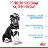 ROYAL CANIN Maxi Puppy karma sucha dla szczeniąt, od 2. do 15. miesiąca życia, ras dużych 2x 15kg