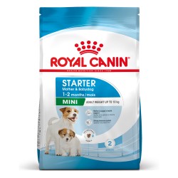 ROYAL CANIN Mini Starter Mother & Babydog karma sucha dla suk w ciąży i okresie laktacji oraz szczeniąt ras małych 1 kg