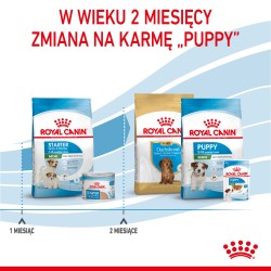 ROYAL CANIN Mini Starter Mother & Babydog karma sucha dla suk w ciąży i okresie laktacji oraz szczeniąt ras małych 8kg