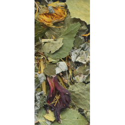 NATURAL-VIT Korona Natury Mieszanka ziołowa - koszatniczka 70g