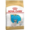 ROYAL CANIN French Bulldog Puppy karma sucha dla szczeniąt do 12 miesiąca, rasy buldog francuski 1 kg