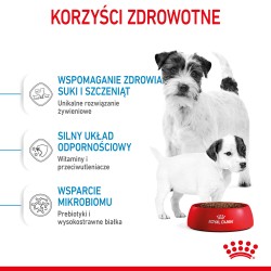 ROYAL CANIN Mini Starter Mother & Babydog karma sucha dla suk w ciąży i okresie laktacji oraz szczeniąt ras małych 2x 8kg