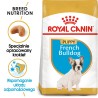 ROYAL CANIN French Bulldog Puppy karma sucha dla szczeniąt do 12 miesiąca, rasy buldog francuski 3 kg