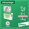 BAYER Advantage dla kotów poniżej 4kg (4 x 0,4ml)