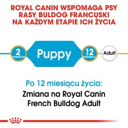 ROYAL CANIN French Bulldog Puppy karma sucha dla szczeniąt do 12 miesiąca, rasy buldog francuski 3 kg