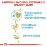 ROYAL CANIN French Bulldog Puppy karma sucha dla szczeniąt do 12 miesiąca, rasy buldog francuski 3 kg