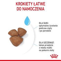 ROYAL CANIN Mini Starter Mother & Babydog karma sucha dla suk w ciąży i okresie laktacji oraz szczeniąt ras małych 4 kg