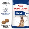 ROYAL CANIN Maxi Adult +5 karma sucha dla psów starszych ras dużych, od 5 do 8 roku życia 15 kg