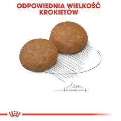 ROYAL CANIN Maxi Adult +5 karma sucha dla psów starszych ras dużych, od 5 do 8 roku życia 15 kg