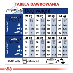 ROYAL CANIN Maxi Adult +5 karma sucha dla psów starszych ras dużych, od 5 do 8 roku życia 15 kg