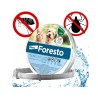 BAYER Obroża Foresto dla psów i kotów 38 cm