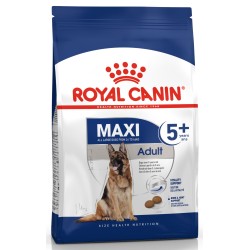 ROYAL CANIN Maxi Adult +5 karma sucha dla psów starszych ras dużych, od 5 do 8 roku życia 2x 15kg