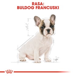 ROYAL CANIN French Bulldog Puppy karma sucha dla szczeniąt do 12 miesiąca, rasy buldog francuski 2x 10 kg