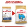 ROYAL CANIN French Bulldog Puppy karma sucha dla szczeniąt do 12 miesiąca, rasy buldog francuski 2x 10 kg