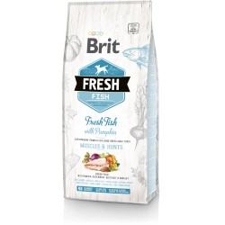 BRIT FRESH Fish & Pumpkin Adult Large Muscles & Joints 12kg