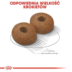 ROYAL CANIN Maxi Ageing 8+ karma sucha dla psów dojrzałych ras dużych, po 8 roku życia 15 kg