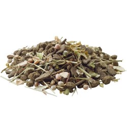 VERSELE-LAGA Degu Nature - dla koszatniczek 2,3kg