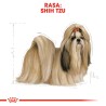 ROYAL CANIN Shih Tzu Adult karma sucha dla psów dorosłych rasy shih tzu 7,5kg
