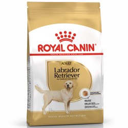 ROYAL CANIN Labrador Retriever Adult karma sucha dla psów dorosłych do 5. roku życia, rasy labrador retriever 3 kg