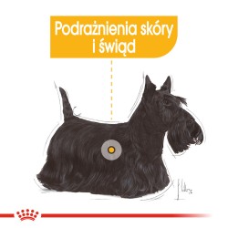ROYAL CANIN Mini Dermacomfort karma sucha dla psów dorosłych, ras małych, o wrażliwej skórze, skłonnej do podrażnień 2x 8kg