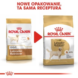 ROYAL CANIN Labrador Retriever Adult karma sucha dla psów dorosłych do 5. roku życia, rasy labrador retriever 12kg