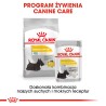 ROYAL CANIN Mini Dermacomfort karma sucha dla psów dorosłych, ras małych, o wrażliwej skórze, skłonnej do podrażnień 1 kg