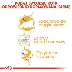 ROYAL CANIN Persian Adult karma mokra - pasztet dla kotów dorosłych rasy perskiej 85g