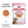 ROYAL CANIN Kitten Sterilised karma mokra w galaretce dla kociąt od 6 do 12 miesiąca życia, sterylizowanych 24x 85g