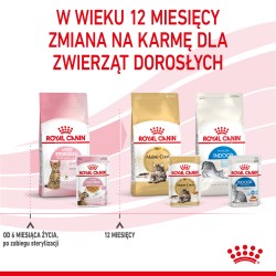 ROYAL CANIN Kitten Sterilised karma mokra w galaretce dla kociąt od 6 do 12 miesiąca życia, sterylizowanych 24x 85g