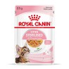ROYAL CANIN Kitten Sterilised karma mokra w galaretce dla kociąt od 6 do 12 miesiąca życia, sterylizowanych 24x 85g