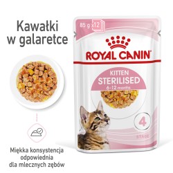 ROYAL CANIN Kitten Sterilised karma mokra w galaretce dla kociąt od 6 do 12 miesiąca życia, sterylizowanych 85g