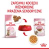 ROYAL CANIN Kitten Sterilised karma mokra w galaretce dla kociąt od 6 do 12 miesiąca życia, sterylizowanych 85g