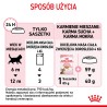 ROYAL CANIN Kitten Sterilised karma mokra w galaretce dla kociąt od 6 do 12 miesiąca życia, sterylizowanych 85g