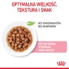 ROYAL CANIN Kitten Sterilised karma mokra w sosie dla kociąt od 6 do 12 miesiąca życia, sterylizowanych 48x 85g