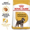 ROYAL CANIN Miniature Schnauzer Adult karma sucha dla psów dorosłych rasy sznaucer miniaturowy 7,5kg
