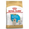 ROYAL CANIN Golden Retriever Puppy karma sucha dla szczeniąt do 15 miesiąca, rasy golden retriever 1 kg