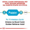 ROYAL CANIN Golden Retriever Puppy karma sucha dla szczeniąt do 15 miesiąca, rasy golden retriever 1 kg