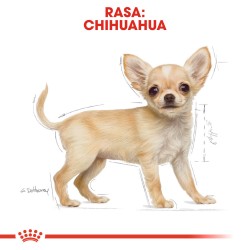 ROYAL CANIN Chihuahua Puppy karma sucha dla szczeniąt do 10 miesiąca, rasy chihuahua 1,5 kg