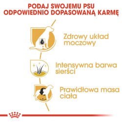 ROYAL CANIN Miniature Schnauzer Adult karma sucha dla psów dorosłych rasy sznaucer miniaturowy 2x 7,5kg