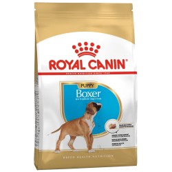 ROYAL CANIN Boxer Puppy karma sucha dla szczeniąt do 15 miesiąca, rasy bokser 12kg