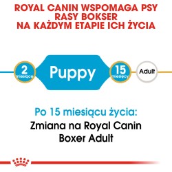 ROYAL CANIN Boxer Puppy karma sucha dla szczeniąt do 15 miesiąca, rasy bokser 12kg