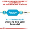 ROYAL CANIN Boxer Puppy karma sucha dla szczeniąt do 15 miesiąca, rasy bokser 12kg
