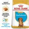 ROYAL CANIN Dachshund Puppy karma sucha dla szczeniąt do 10. miesiąca, rasy jamnik 1,5 kg