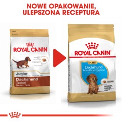 ROYAL CANIN Dachshund Puppy karma sucha dla szczeniąt do 10. miesiąca, rasy jamnik 1,5 kg