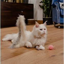 DINGO Wędka dla kota Glamour - Pióra