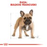 ROYAL CANIN French Bulldog Adult karma sucha dla psów dorosłych rasy buldog francuski 1,5 kg