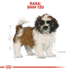 ROYAL CANIN Shih Tzu Puppy karma sucha dla szczeniąt do 10 miesiąca, rasy shih tzu 1,5 kg