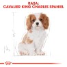 ROYAL CANIN Cavalier King Charles Puppy karma sucha dla szczeniąt do 10 miesiąca, rasy cavalier king charles spaniel 2x 1,5kg