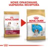 ROYAL CANIN Cavalier King Charles Puppy karma sucha dla szczeniąt do 10 miesiąca, rasy cavalier king charles spaniel 2x 1,5kg