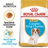 ROYAL CANIN Cavalier King Charles Puppy karma sucha dla szczeniąt do 10 miesiąca, rasy cavalier king charles spaniel 1,5 kg